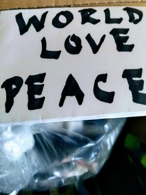 cover image of World Love